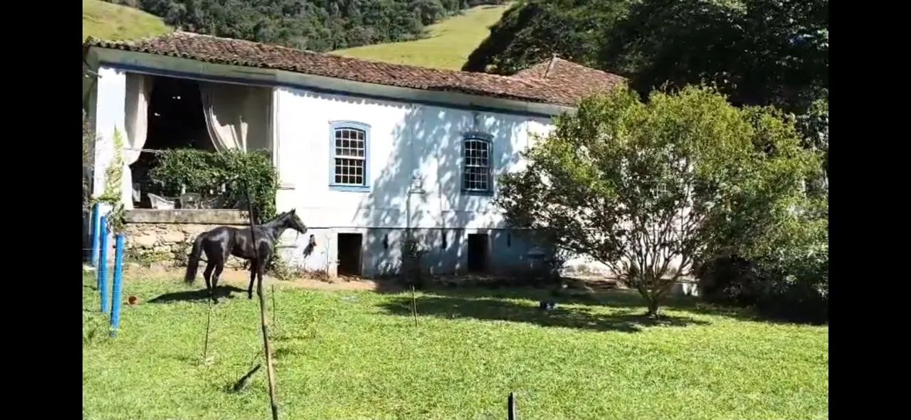 Cobertura Puro Sangue Inglês Registrado