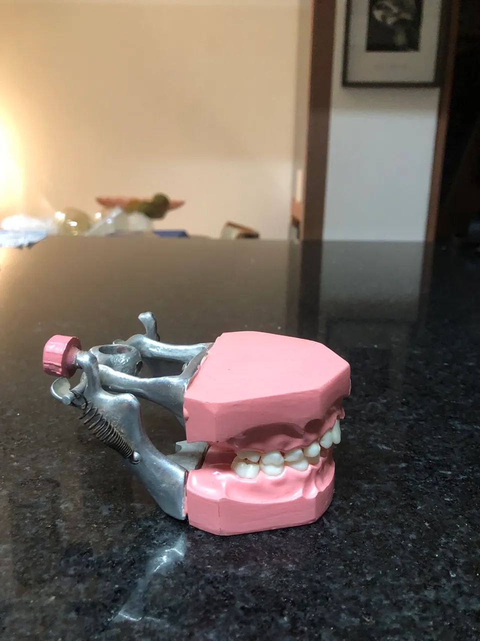 Marco modelo de dentição infantil mista  - Foto 5