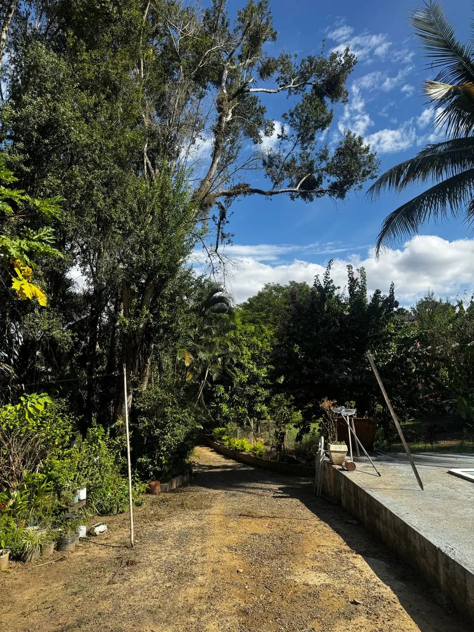 Vendo chácara em monte mor - Foto 4