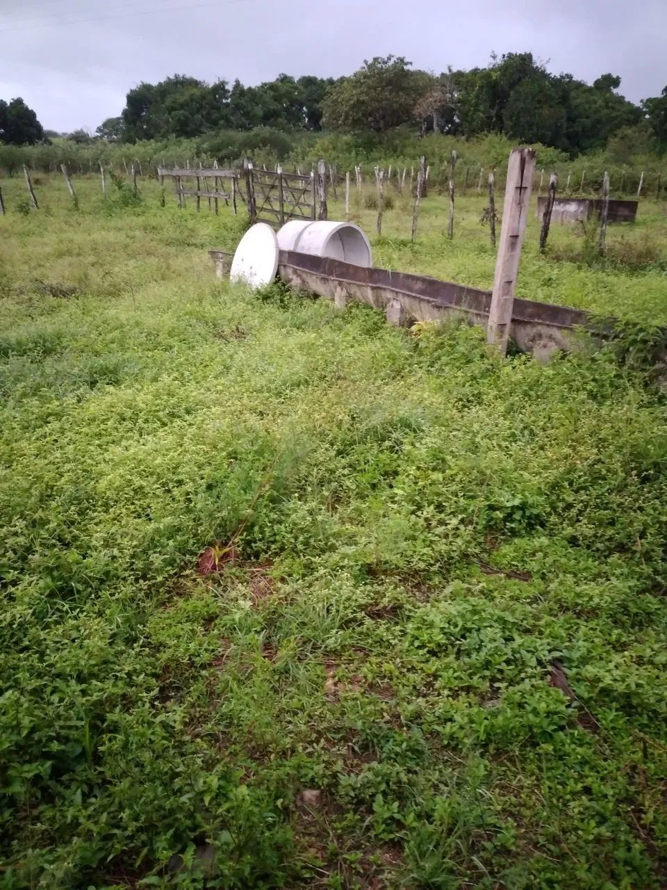 Sítio chácara  - Foto 5