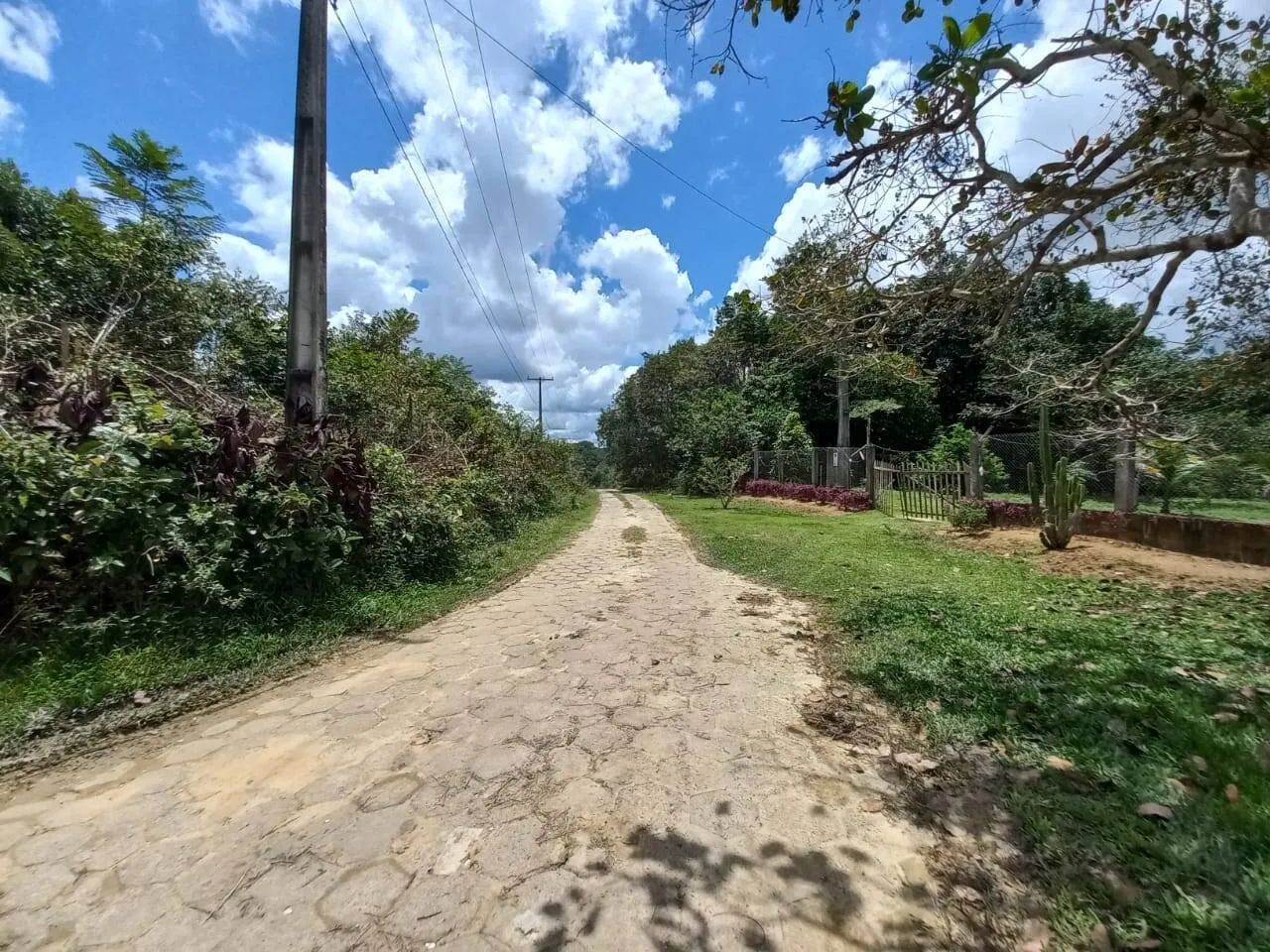 Terreno com igarapé para sitio, na BR 174, km 07, Amazonas - Foto 2