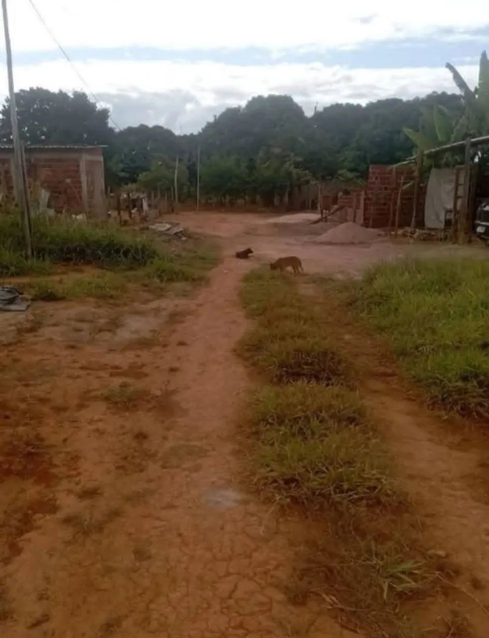 Lote na vendinha 15 mil - Foto 4