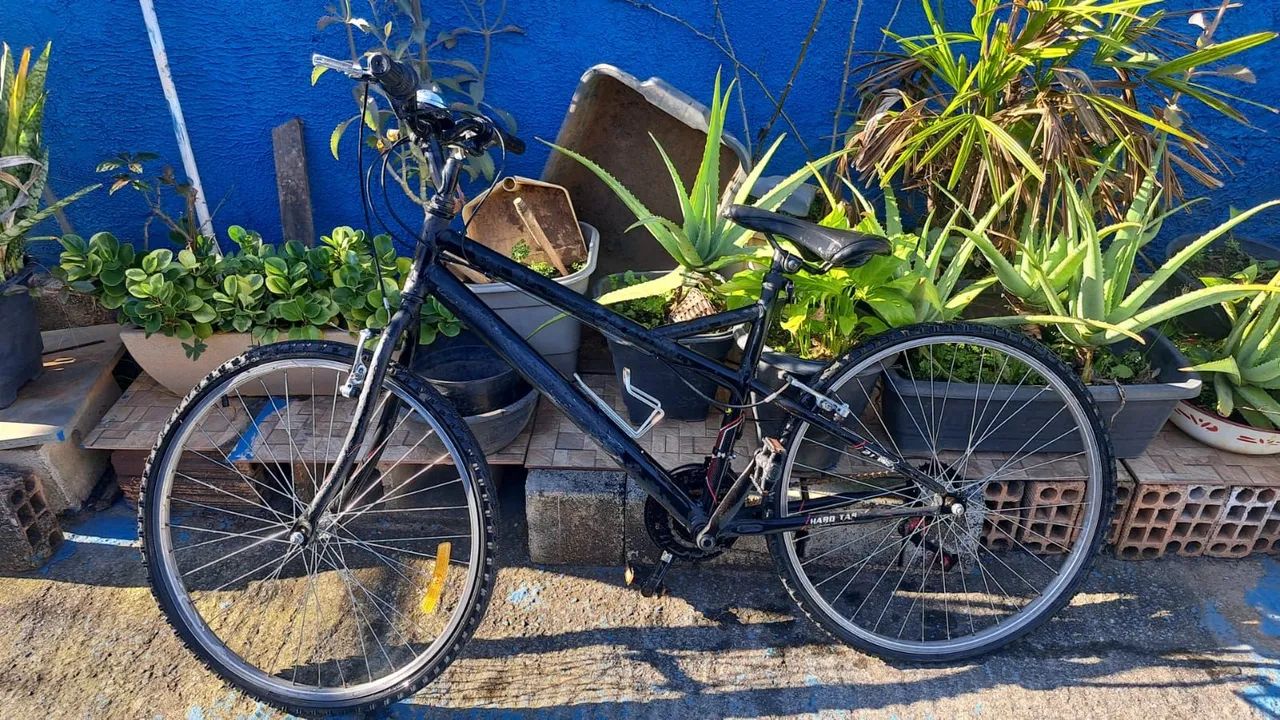 Bicicleta Felipe