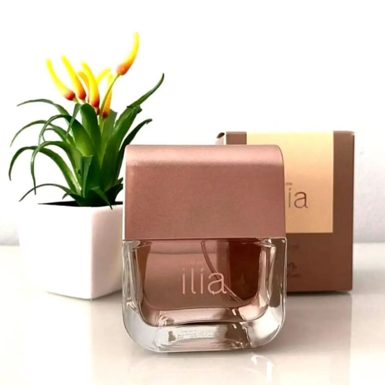 Ilía clássico natura  - Foto 2