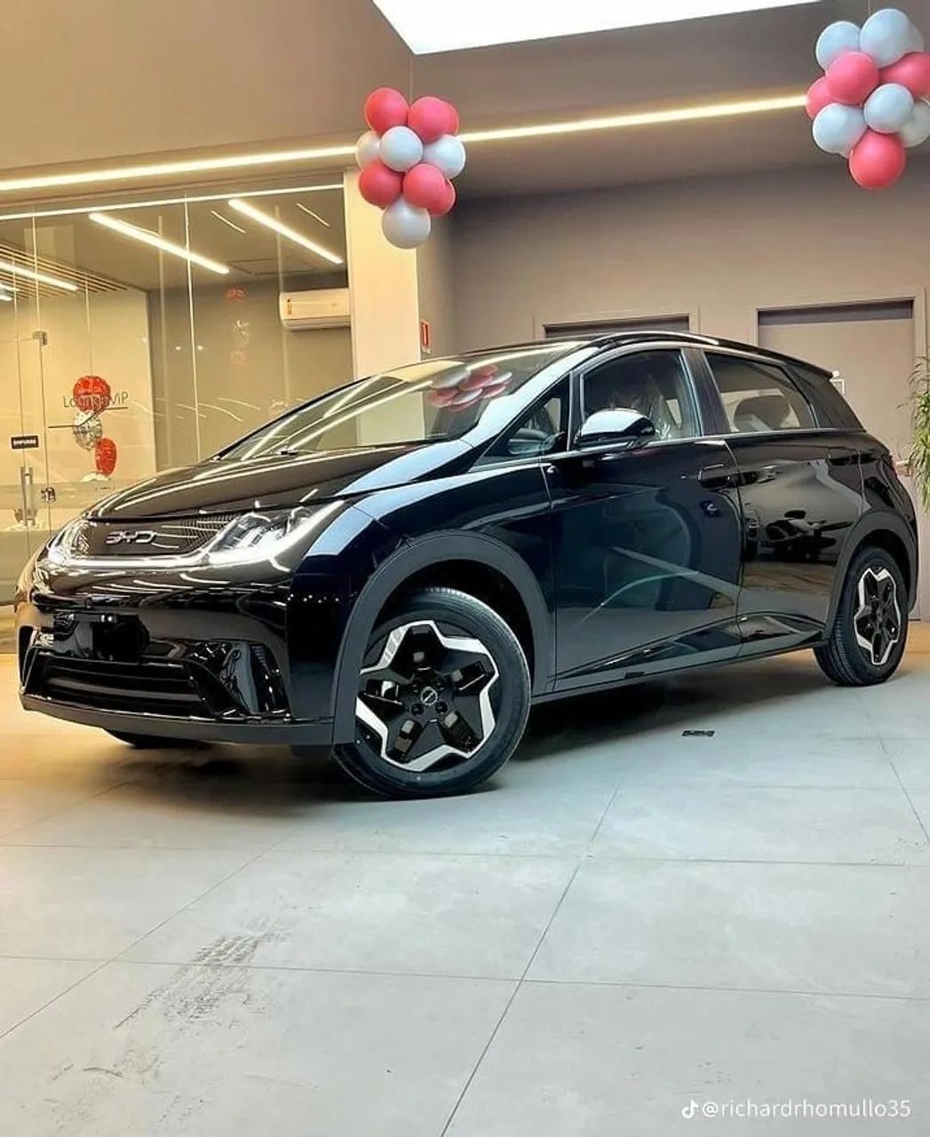 BYD Dolphin GS (Elétrico) 2027 - Foto 2