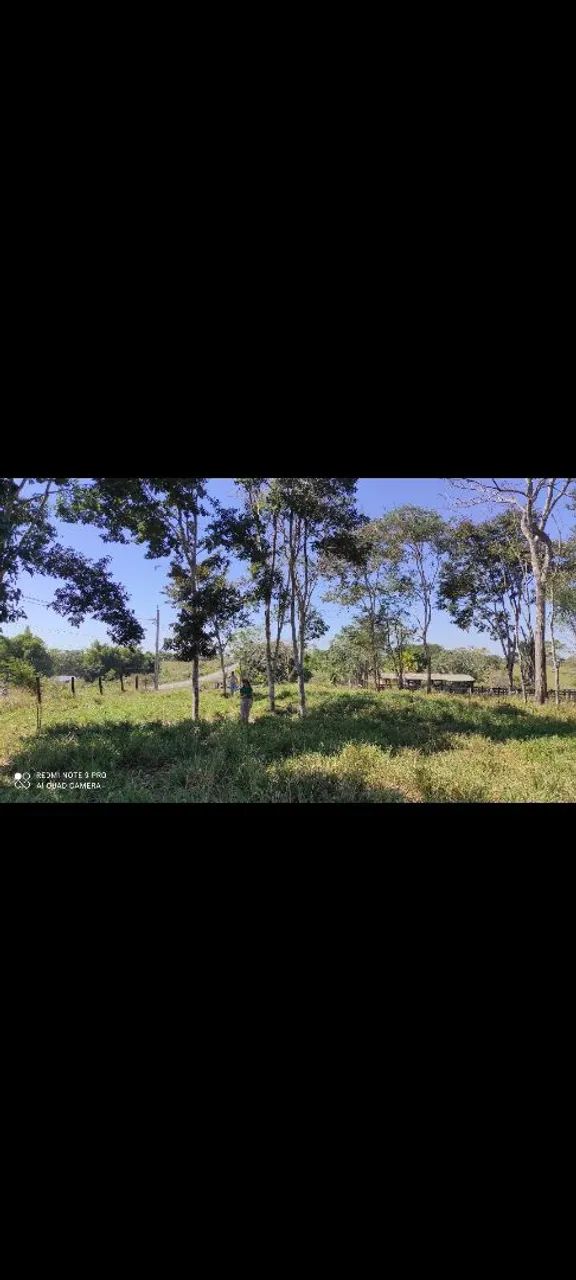 Área verde de 3 hectares - Foto 2
