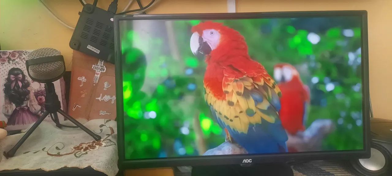 Monitor TV 24 polegadas