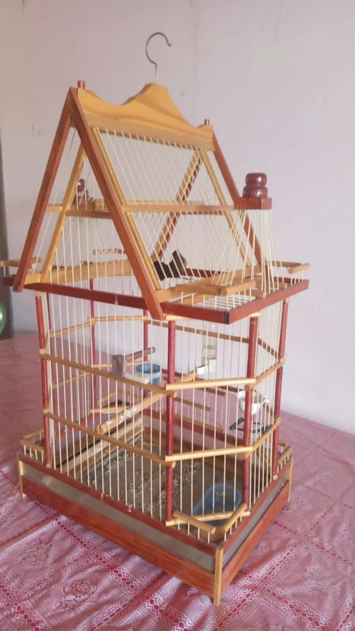 vende se uma gaiola e um curio - Foto 4