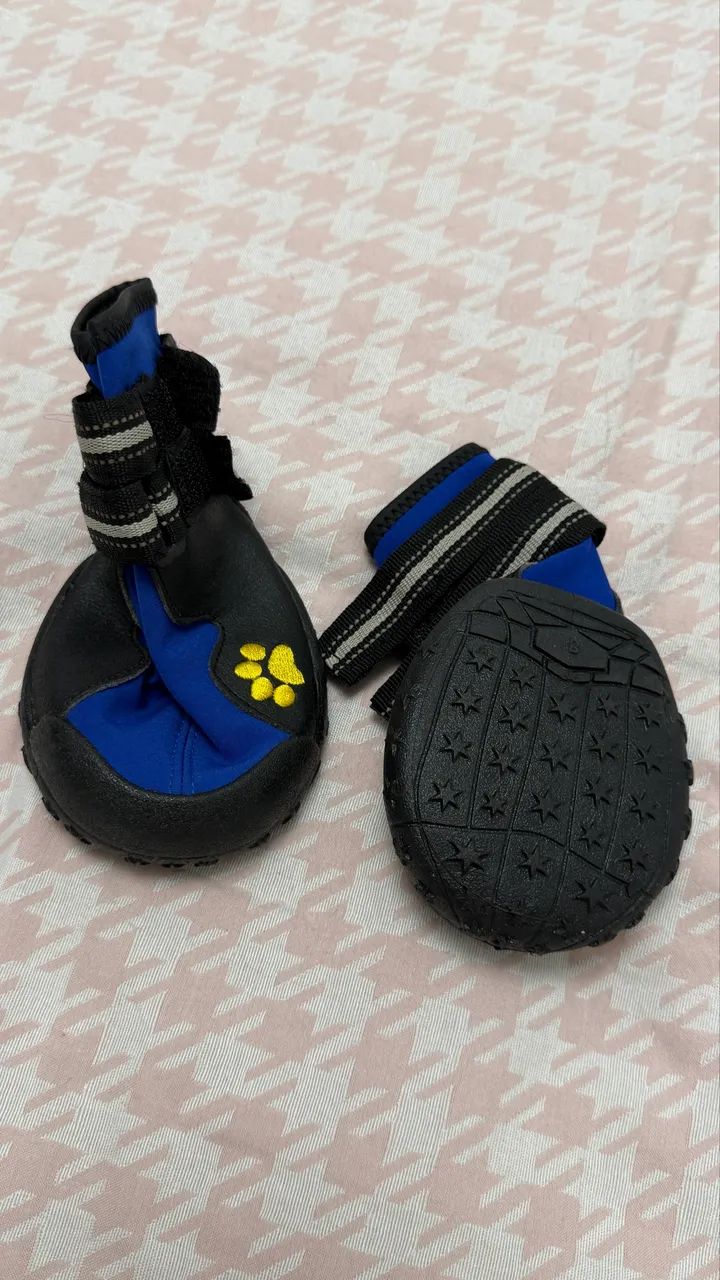 Sapato pet G - Foto 2