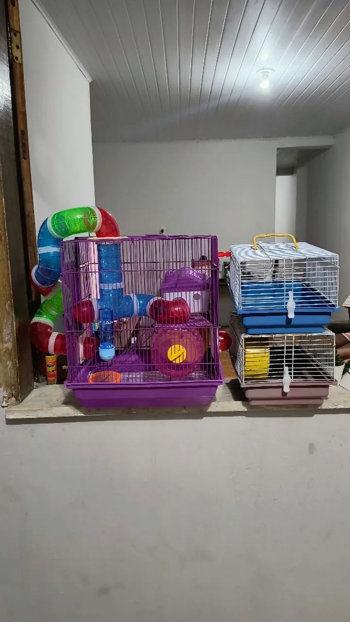 3 Gaiolas para hamster - Foto 3