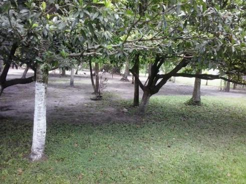 Chácara em Igarassú. Casa boa, 2 Piscinas, campo, etc - Foto 5