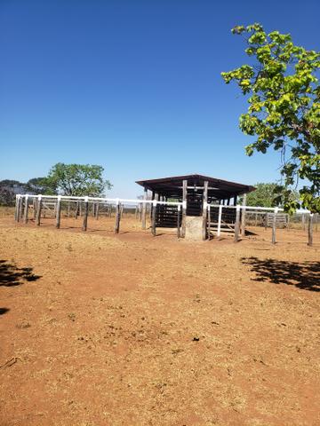 Fazenda de 510ha em Buritis MG - Foto 14