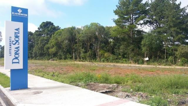 Terrenos - Foto 4