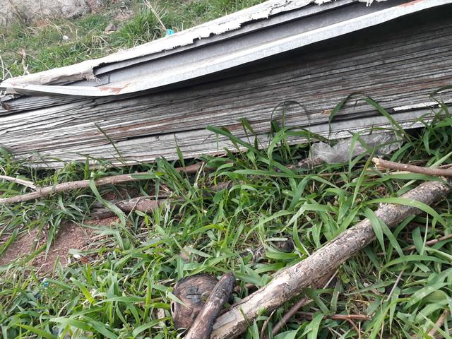 Estrutura de barracão - Foto 4
