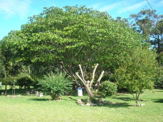 Pousada em Espaço Rural - Foto 9
