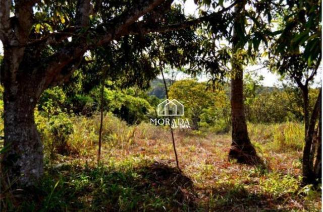 Terreno à venda, 40.920m² por R$ 690.000 - Barra Grande - Maraú/BA - Foto 7