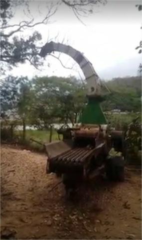 Picador Florestal