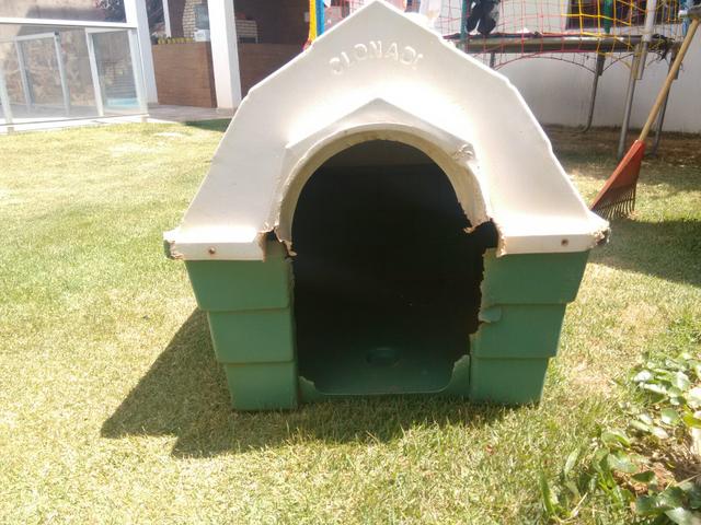 Casa de cachorro/ passo cartão - Foto 2