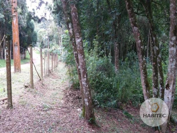 Terreno à venda em Piraquara, Piraquara cod:9739 - Foto 4