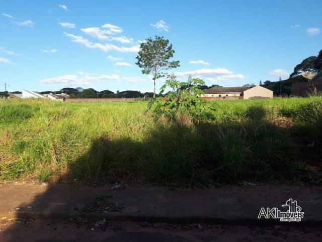 8046 | Terreno à venda em Centro, Nova Esperança - Foto 3