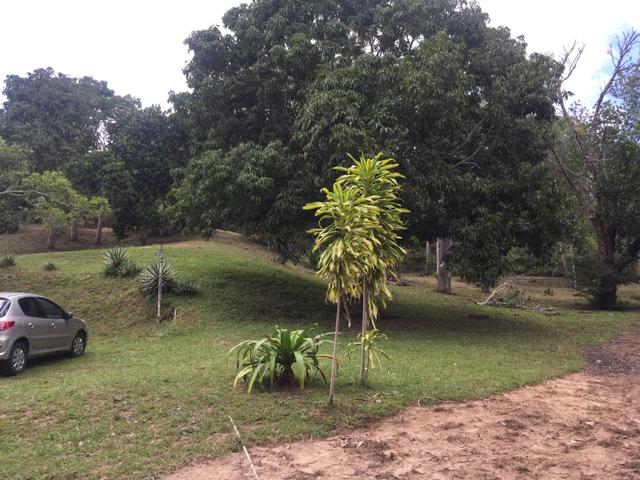 Vendo sítio pojuca ( pode financiar!) - Foto 16
