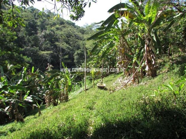 Caetano Imóveis - Sítio para quem ama a natureza! (rico em água e muito verde!) - Foto 19