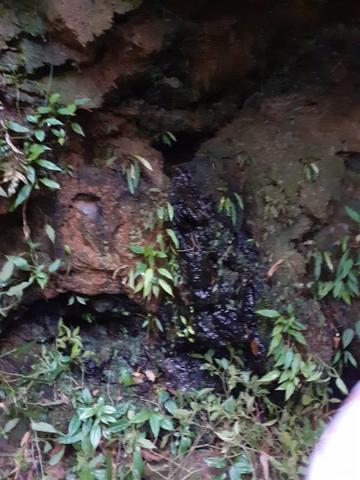 Mini chácara em Bocaiúva do sul 2.800mt - Foto 8