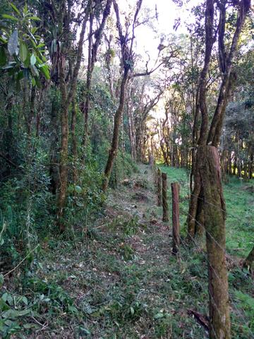Chacara - Foto 8