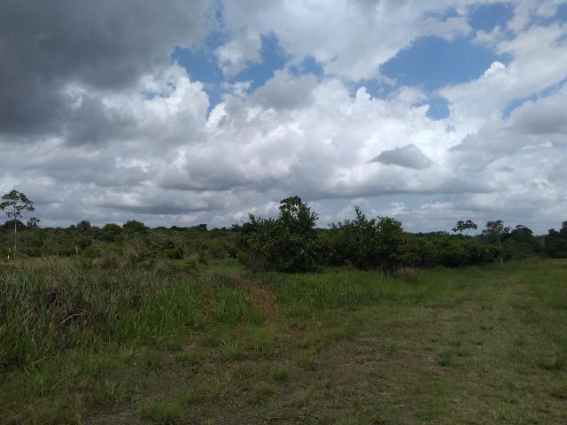 No Pará,175 hectares ha região de Castanhal-Pará por 1.400.000,00 documentada - Foto 10