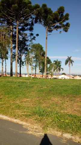 Terrenos - Foto 4