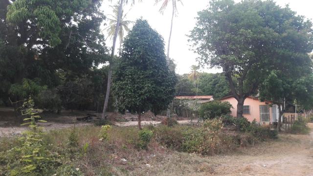 Vendo este lindo sítio em São José de Ribamar - Foto 2