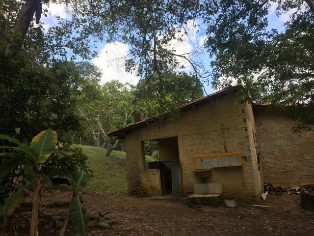 Vendo sítio pojuca ( pode financiar!) - Foto 8