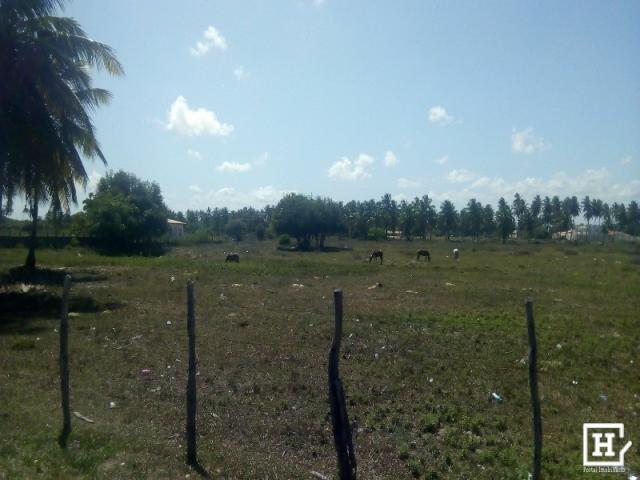 SÍTIO À VENDA - Areia Branca (Zona de Expansão) - Foto 3
