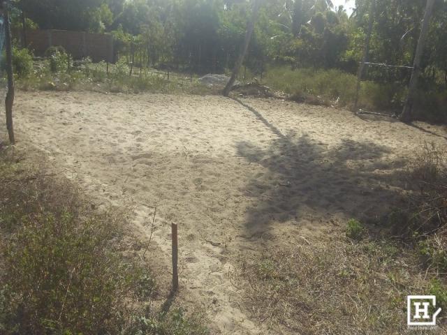 Terreno à venda - robalo (zona de expansão) - Foto 2