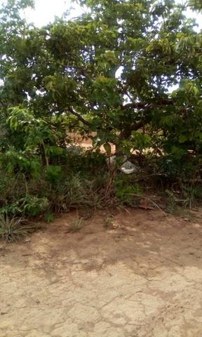 Troco Lote em Caldas Novas - GO - 1.000m2 - Foto 4