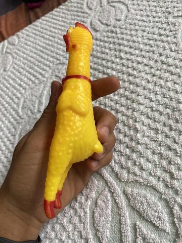 Frango gritador - Foto 4