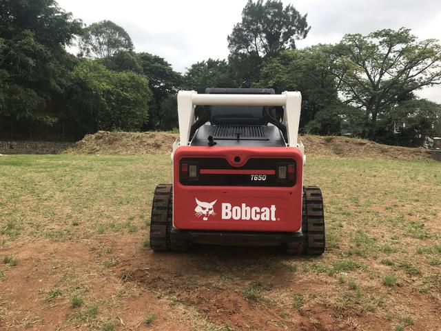 Bob Cat - Foto 4
