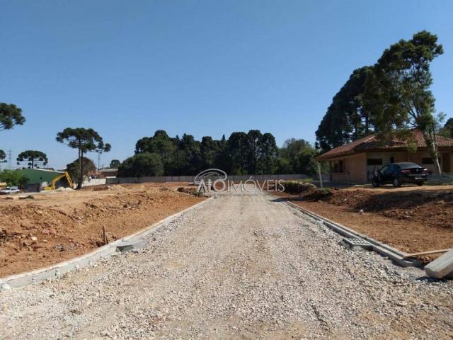 Terreno à venda, 157 m² por r$ 209.462,55 - pinheirinho - curitiba/pr - Foto 19
