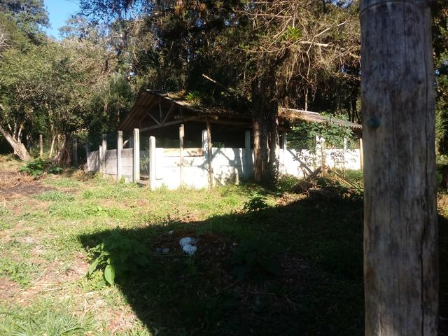 Sitio em agudos do sul - Foto 3