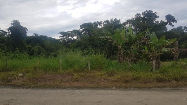 Terreno para formar Chácara - Foto 10