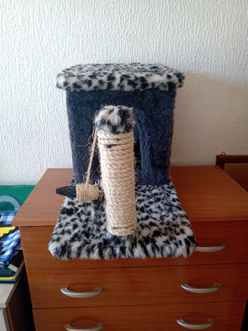Casa de Gato nova - Foto 4