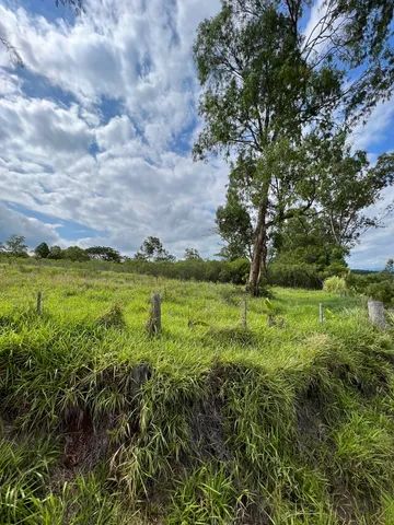 Chácara em Taquara à 700m da RS 020 - Foto 2
