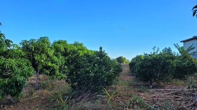 Chácara para venda com 5.010,00m² em Conquista - Bahia - Foto 14