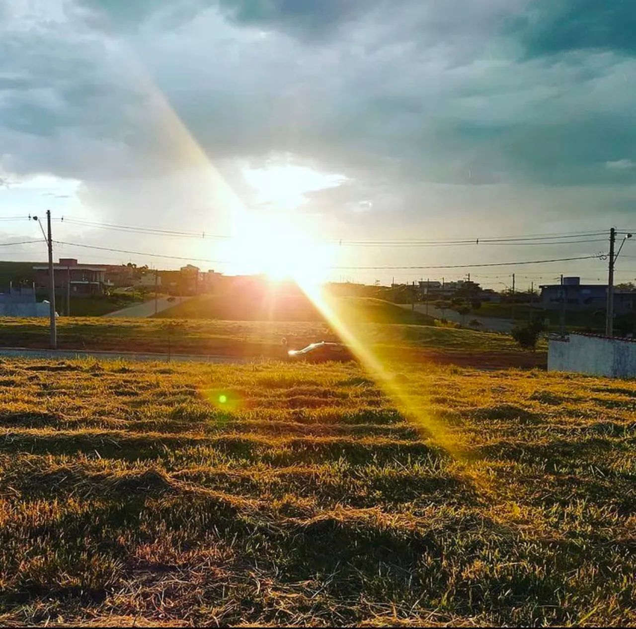 Foto - São José dos Campos - Bosque dos Eucaliptos