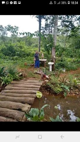 Chácara à venda Zona Rural Poxoréu 350.000,00