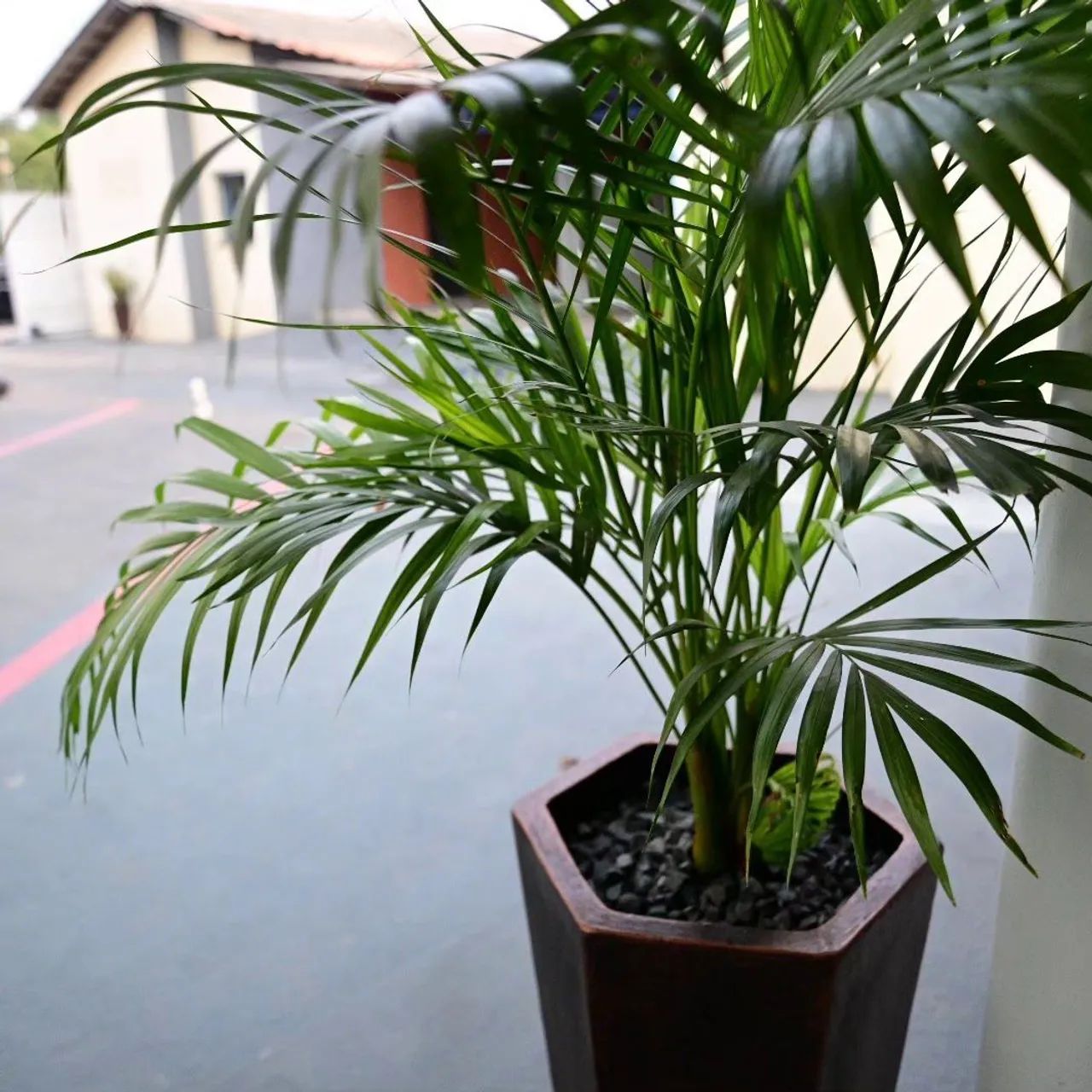 Hotel e apartamento mobiliado diárias  - Foto 15