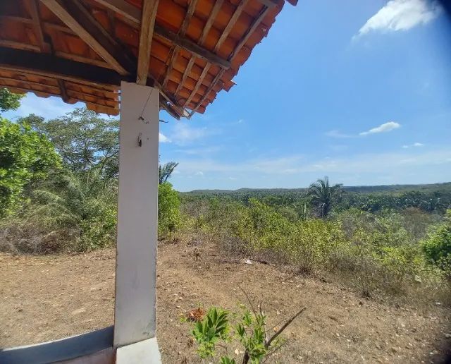 Fazenda com 187 Hectares em Demerval Lobão - Lado Zona Urbana  - Foto 5