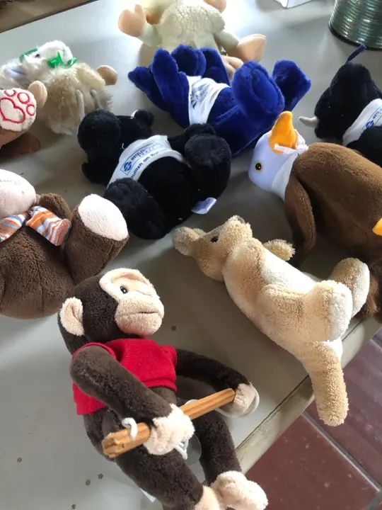 Bichos de pelúcia  - Foto 3