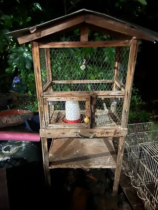 Gaiola para calopsita  - Foto 2