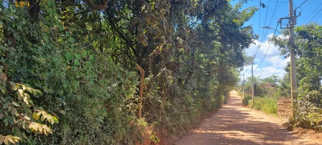 Glebas de 20.000M² no Jardim do Lago em Juatuba - MG - Foto 6